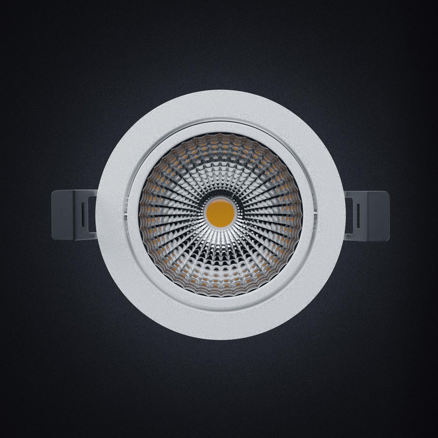 COB Spotlight