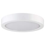 Surface Light